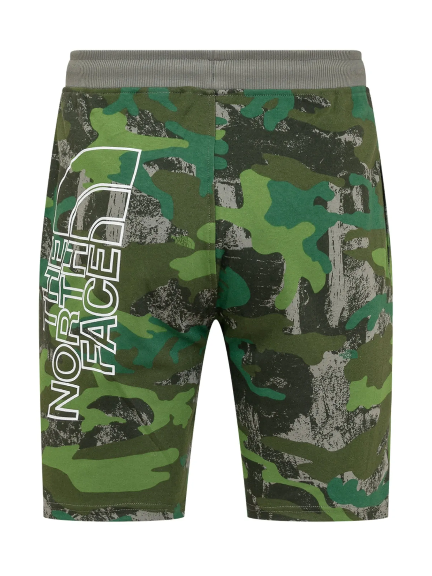 The North Face Logo Printed Drawstring Shorts