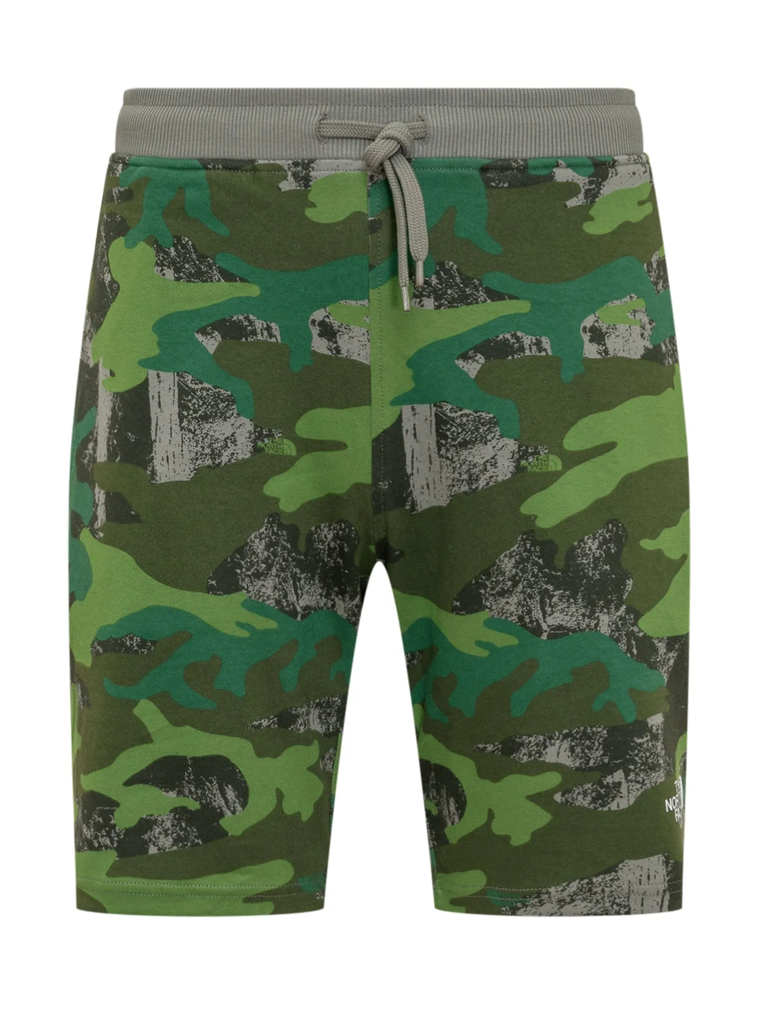 The North Face Logo Printed Drawstring Shorts
