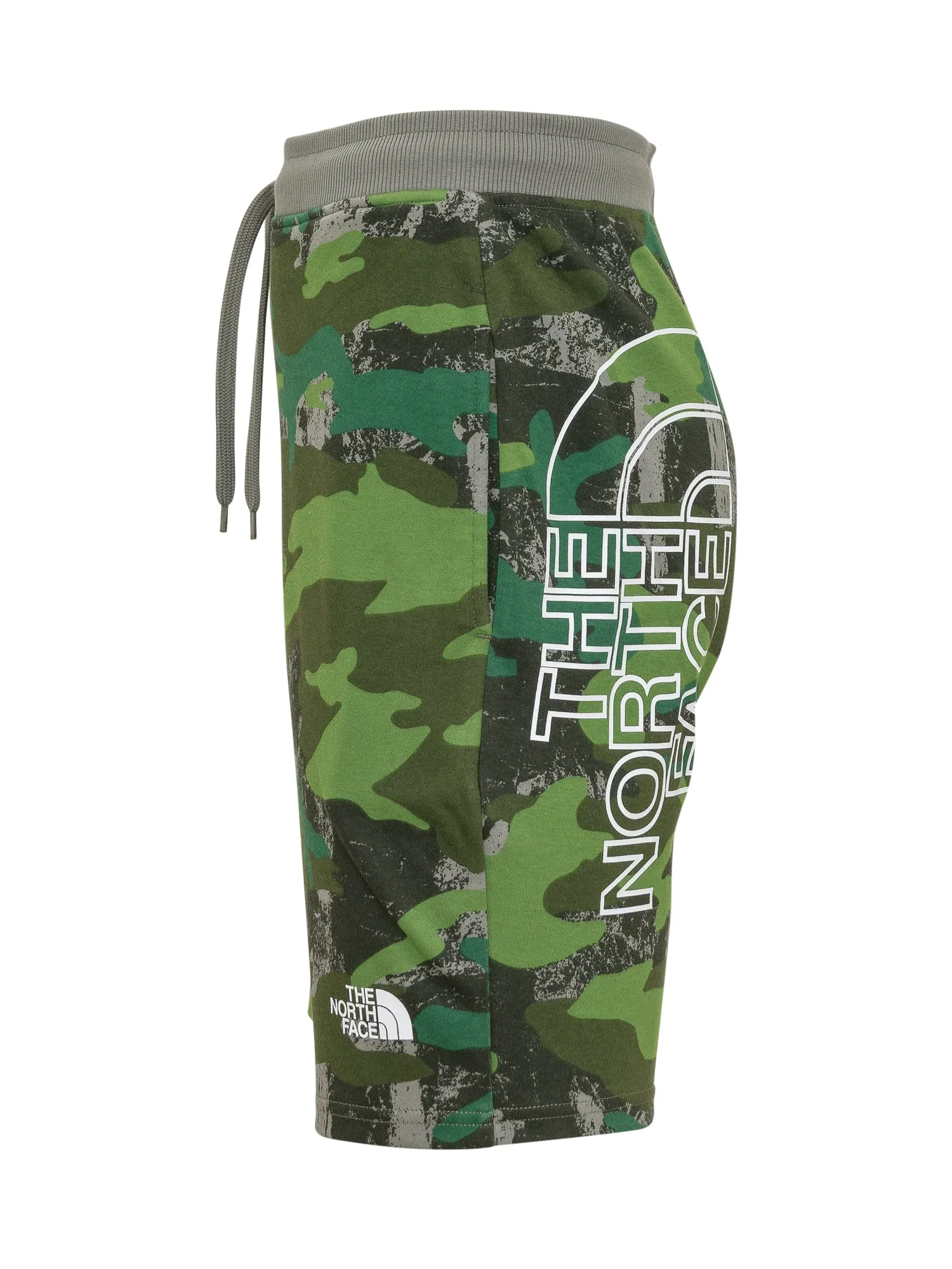 The North Face Logo Printed Drawstring Shorts
